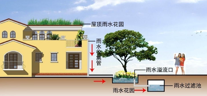 雨水收集系統(tǒng)的幾種類型知道嗎？由哪些結(jié)構(gòu)組成？